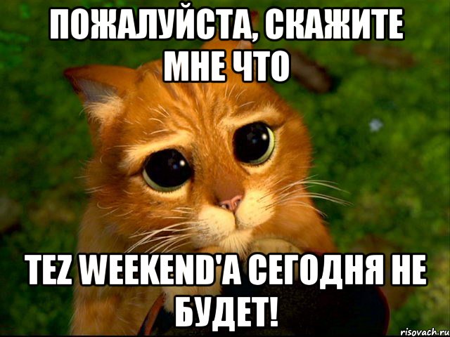 пожалуйста, скажите мне что tez weekend'а сегодня не будет!, Мем кот из шрека