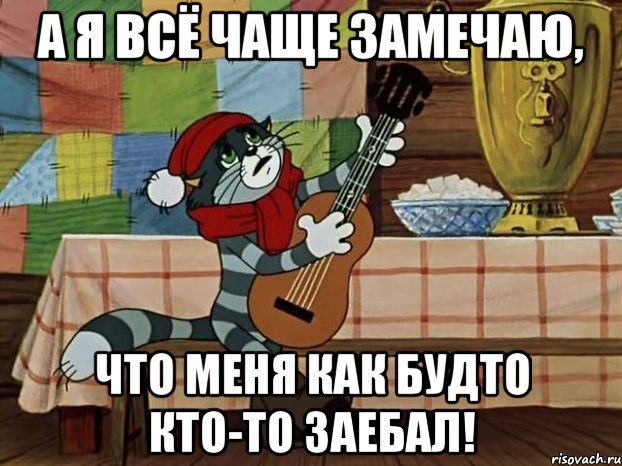 а я всё чаще замечаю, что меня как будто кто-то заебал!, Мем Кот Матроскин с гитарой