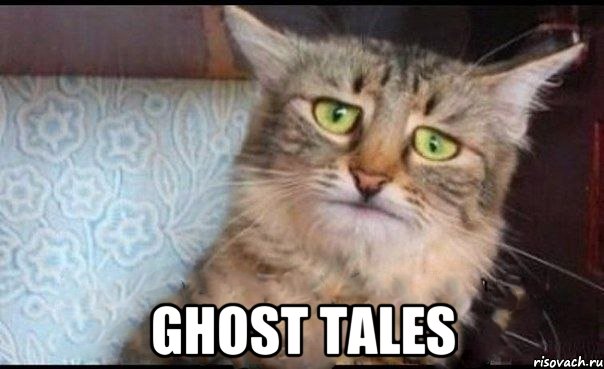  ghost tales, Мем  кот печаль