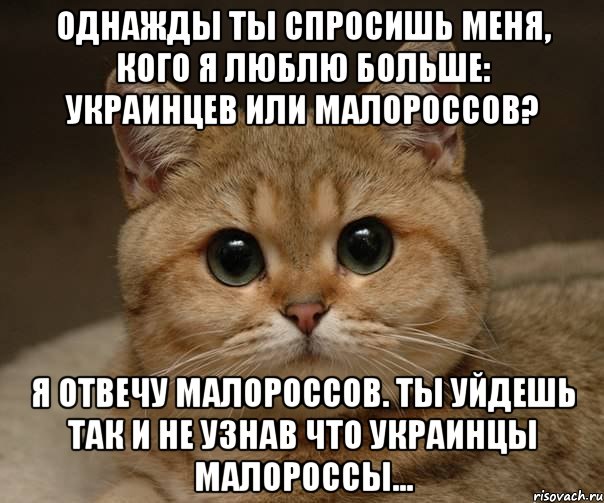 однажды ты спросишь меня, кого я люблю больше: украинцев или малороссов? я отвечу малороссов. ты уйдешь так и не узнав что украинцы малороссы..., Мем Пидрила Ебаная