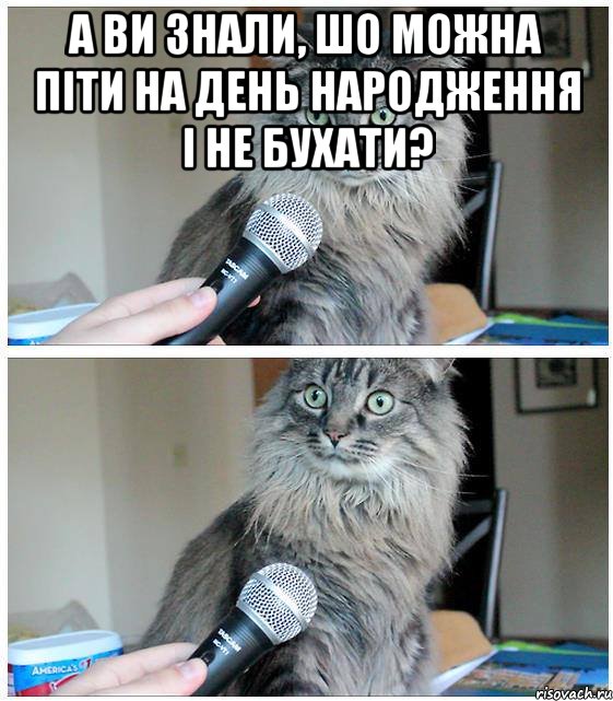 а ви знали, шо можна піти на день народження і не бухати? , Комикс  кот с микрофоном