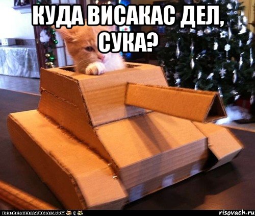 куда висакас дел, сука? , Мем Котэ танкист