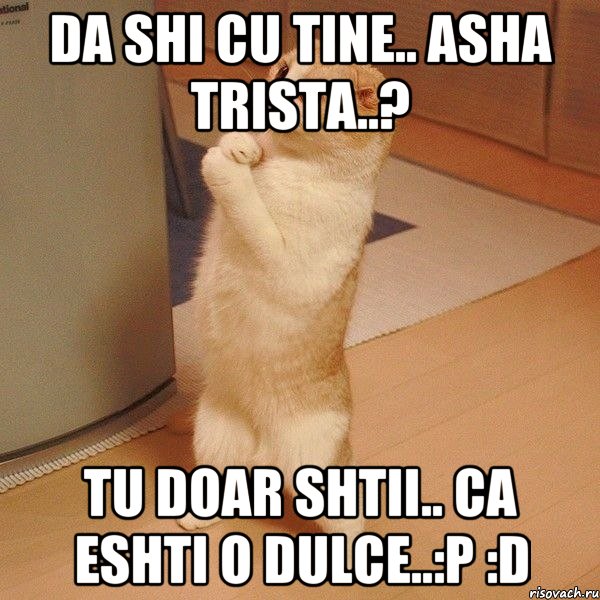 da shi cu tine.. asha trista..? tu doar shtii.. ca eshti o dulce..:p :d, Мем  котэ молится