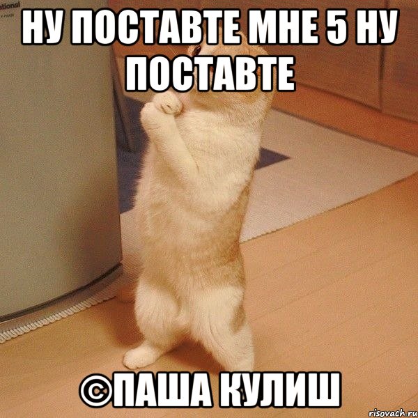 ну поставте мне 5 ну поставте ©паша кулиш, Мем  котэ молится