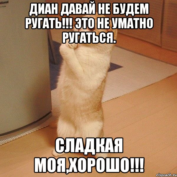 диан давай не будем ругать!!! это не уматно ругаться. сладкая моя,хорошо!!!, Мем  котэ молится