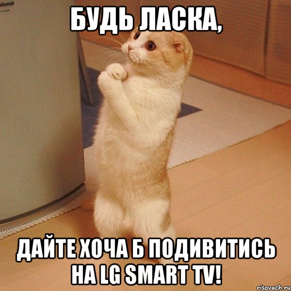 будь ласка, дайте хоча б подивитись на lg smart tv!, Мем  котэ молится