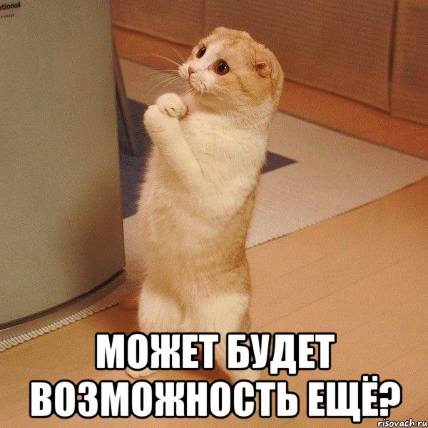  может будет возможность ещё?, Мем  котэ молится