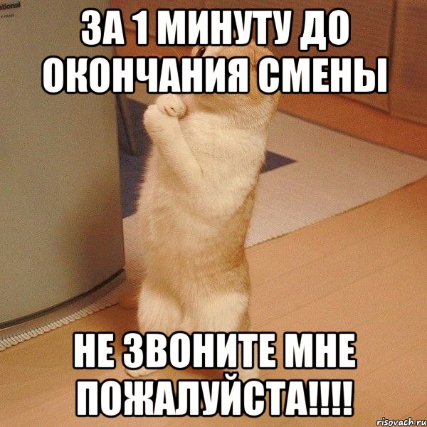 за 1 минуту до окончания смены не звоните мне пожалуйста!!!, Мем  котэ молится