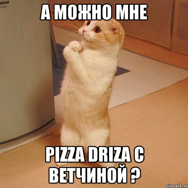 а можно мне pizza driza с ветчиной ?, Мем  котэ молится