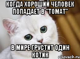 когда хороший человек попадает в "томат" в мире грустит один котик, Мем  В мире грустит один котик