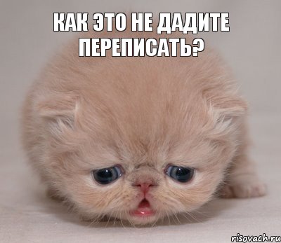 как это не дадите переписать?