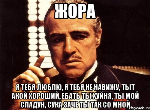 жора я тебя люблю, я тебя не навижу, тыт акой хороший, ебать ты хуйня, ты мой сладун, сука заче ты так со мной, Мем крестный отец