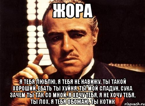 жора я тебя люблю, я тебя не навижу, ты такой хороший, ебать ты хуйня, ты мой сладун, сука зачем ты так со мной, я хочу тебя, я не хочу тебя, ты лох, я тебя обожаю, ты котик, Мем крестный отец