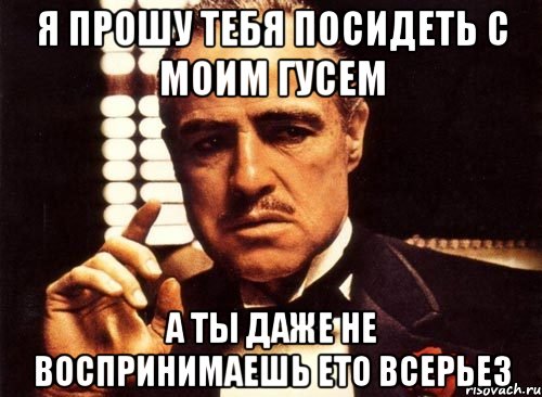 я прошу тебя посидеть с моим гусем а ты даже не воспринимаешь ето всерьез, Мем крестный отец