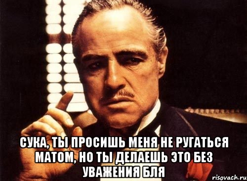  сука, ты просишь меня не ругаться матом, но ты делаешь это без уважения бля, Мем крестный отец