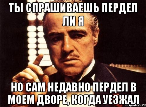 ты спрашиваешь пердел ли я но сам недавно пердел в моем дворе, когда уезжал, Мем крестный отец