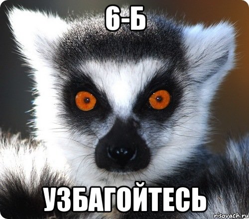 6-б узбагойтесь