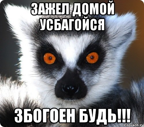 зажел домой усбагойся збогоен будь!!!
