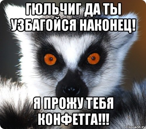гюльчиг да ты узбагойся наконец! я прожу тебя конфетга!!!, Мем лемур