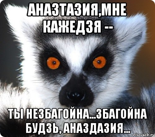 аназтазия,мне кажедзя -- ты незбагойна...збагойна будзь, аназдазия..., Мем лемур