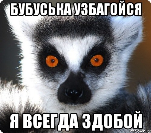 бубуська узбагойся я всегда здобой