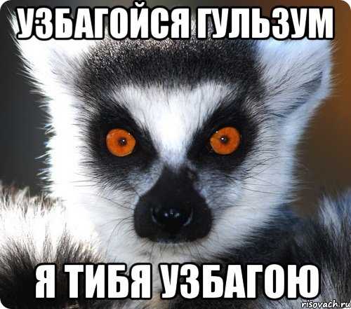 узбагойся гульзум я тибя узбагою