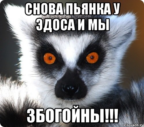 снова пьянка у эдоса и мы збогойны!!!