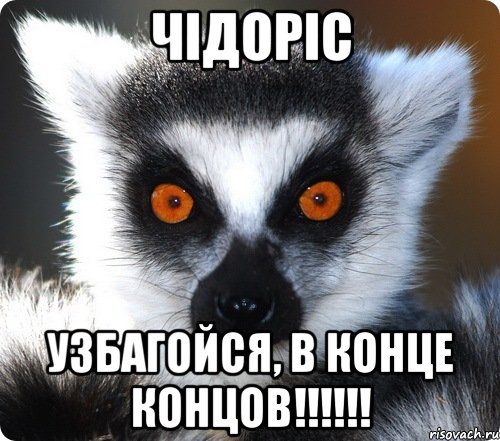 чідоріс узбагойся, в конце концов!!!