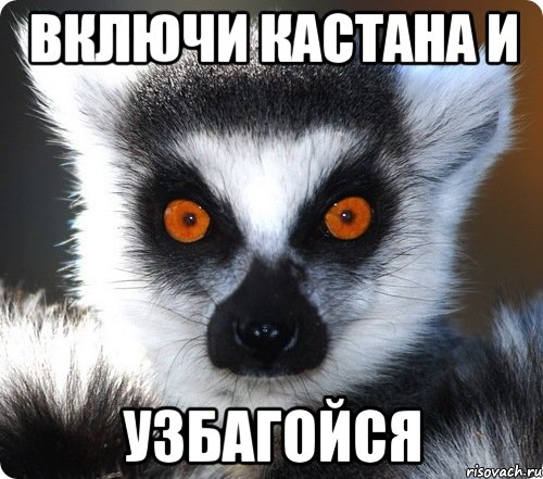 включи кастана и узбагойся