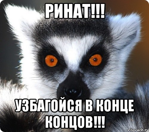 ринат!!! узбагойся в конце концов!!!