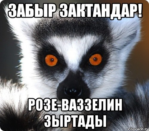 забыр зактандар! розе-ваззелин зыртады