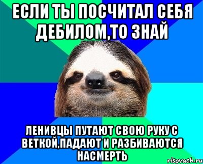 если ты посчитал себя дебилом,то знай ленивцы путают свою руку с веткой,падают и разбиваются насмерть, Мем Ленивец