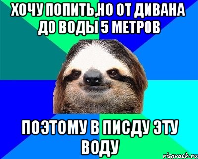 хочу попить,но от дивана до воды 5 метров поэтому в писду эту воду, Мем Ленивец