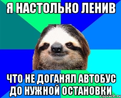 я настолько ленив что не доганял автобус до нужной остановки, Мем Ленивец