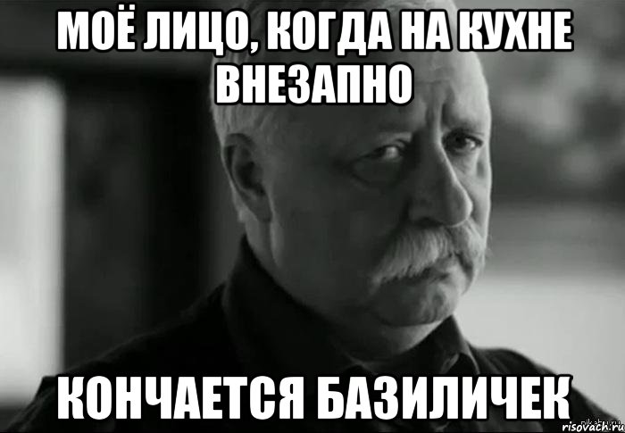 моё лицо, когда на кухне внезапно кончается базиличек, Мем Не расстраивай Леонида Аркадьевича