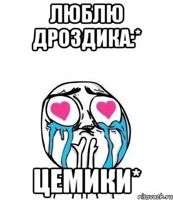 люблю дроздика:* цемики*, Мем Влюбленный