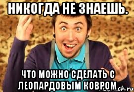 никогда не знаешь. что можно сделать с леопардовым ковром, Мем Макс 100500