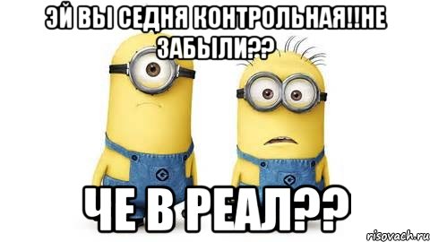 эй вы седня контрольная!!не забыли?? че в реал??, Мем Миньоны