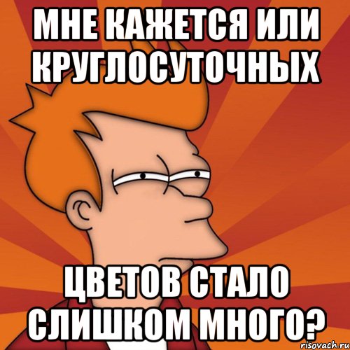 мне кажется или круглосуточных цветов стало слишком много?, Мем Мне кажется или (Фрай Футурама)