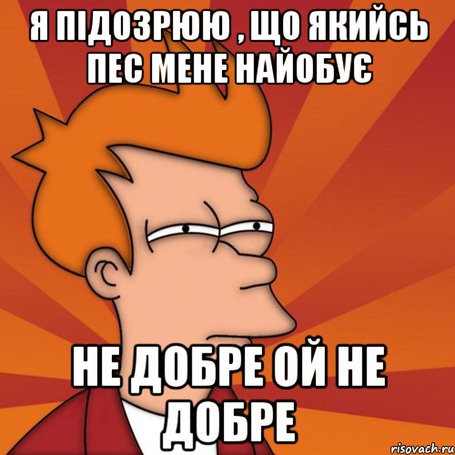 я підозрюю , що якийсь пес мене найобує не добре ой не добре, Мем Мне кажется или (Фрай Футурама)