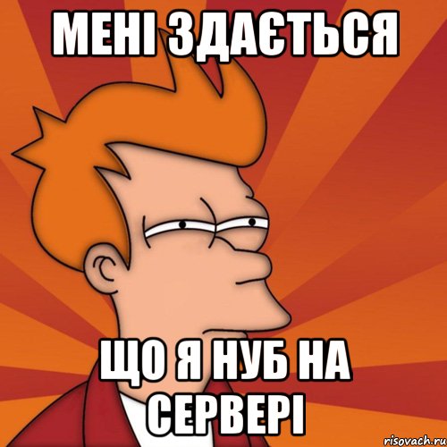 мені здається що я нуб на сервері, Мем Мне кажется или (Фрай Футурама)