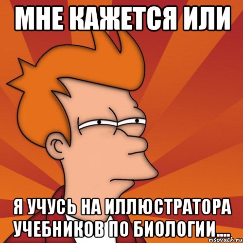 мне кажется или я учусь на иллюстратора учебников по биологии...., Мем Мне кажется или (Фрай Футурама)