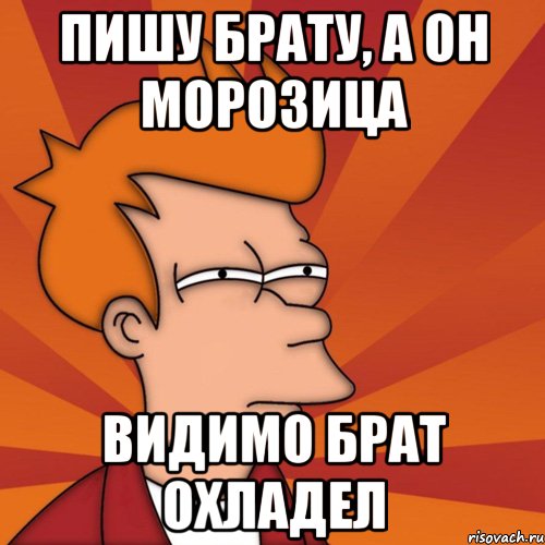 пишу брату, а он морозица видимо брат охладел, Мем Мне кажется или (Фрай Футурама)