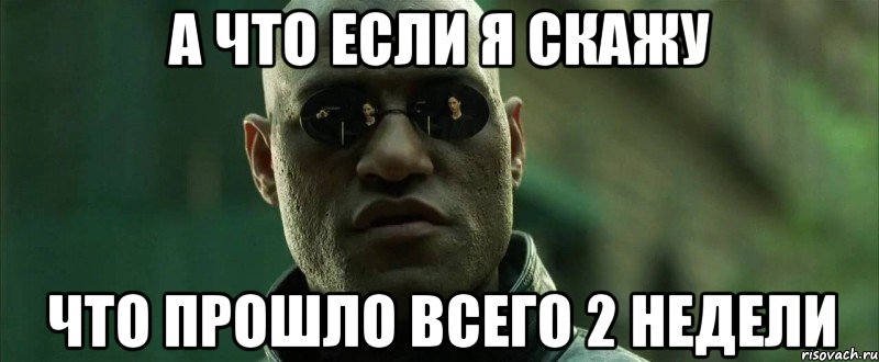 а что если я скажу что прошло всего 2 недели, Мем  морфеус