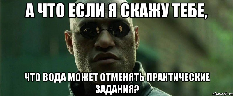 а что если я скажу тебе, что вода может отменять практические задания?, Мем  морфеус