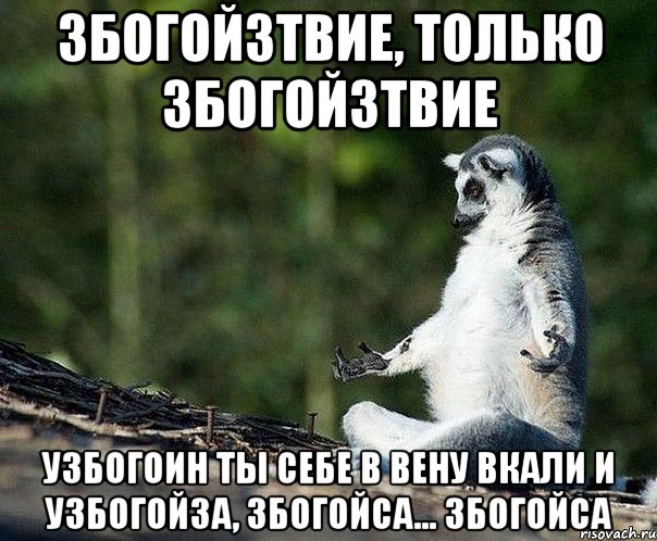 збогойзтвие, только збогойзтвие узбогоин ты себе в вену вкали и узбогойза, збогойса... збогойса, Мем не узбагоюсь