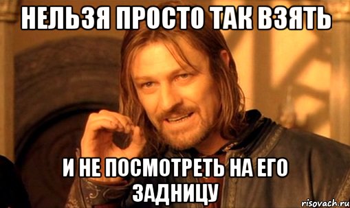 нельзя просто так взять и не посмотреть на его задницу, Мем Нельзя просто так взять и (Боромир мем)