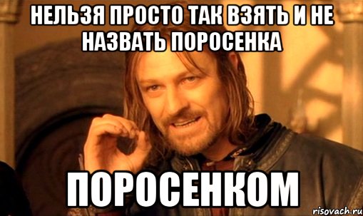 нельзя просто так взять и не назвать поросенка поросенком, Мем Нельзя просто так взять и (Боромир мем)