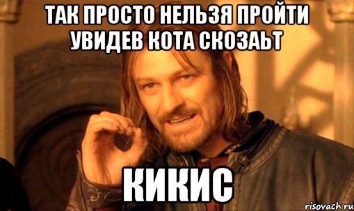 так просто нельзя пройти увидев кота скозаьт кикис, Мем Нельзя просто так взять и (Боромир мем)