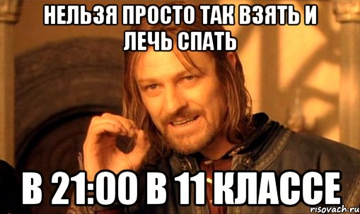 нельзя просто так взять и лечь спать в 21:00 в 11 классе, Мем Нельзя просто так взять и (Боромир мем)